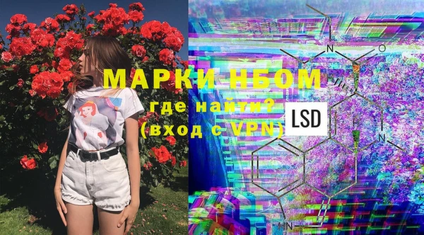 трава Киренск