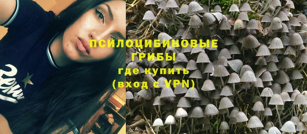 дурь Горняк