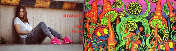 ПСИЛОЦИБИНОВЫЕ ГРИБЫ Алексеевка
