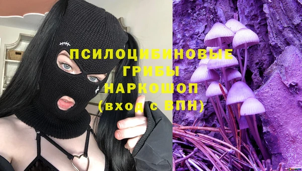 круглые Алзамай
