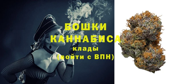 ешки Корсаков