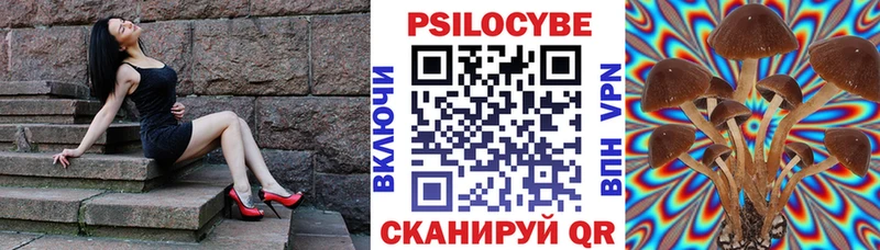 купить наркоту  Асбест  мориарти наркотические препараты  Галлюциногенные грибы мицелий 